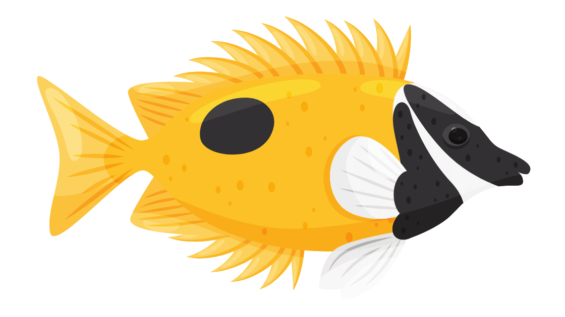 Ikan Hias: Pesona Warna dalam Harmoni yang Menenangkan