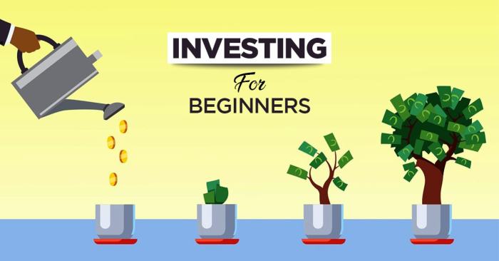 Investing for Beginners