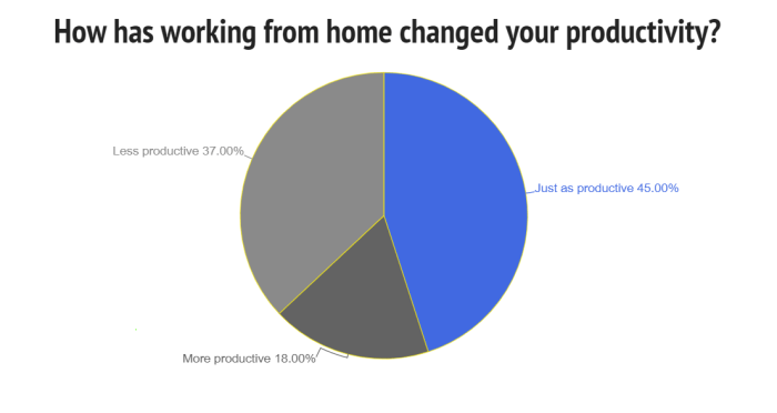 Remote Work Productivity