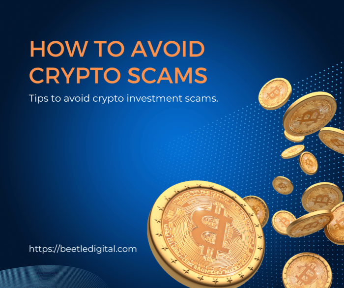 How to Avoid Crypto Investment Scams