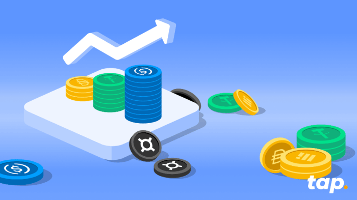 The Potential for Stablecoins in Global Finance