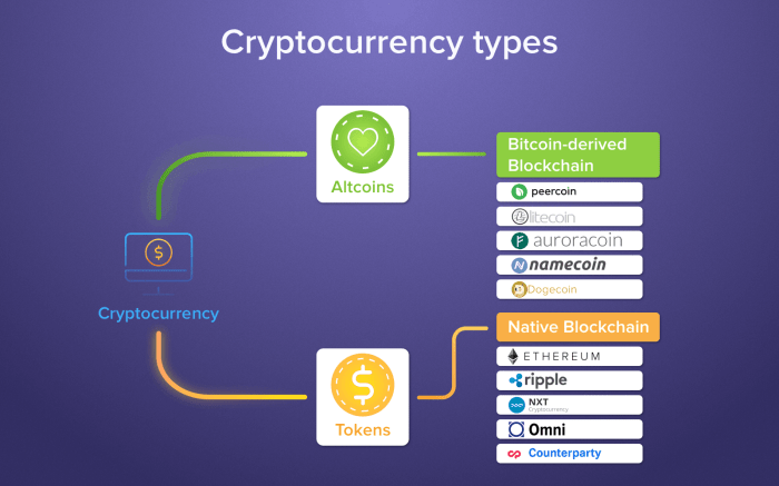 The Function of Tokens in the Crypto Ecosystem