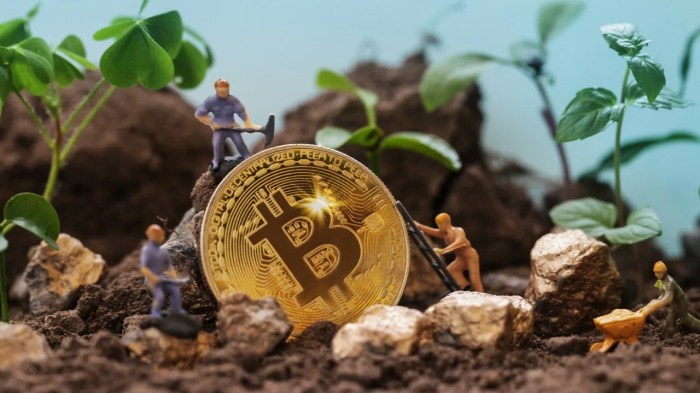 The Environmental Impact of Crypto Mining